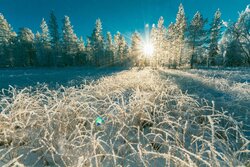 Bien commencer l'année avec une protection solaire efficace : nos conseils